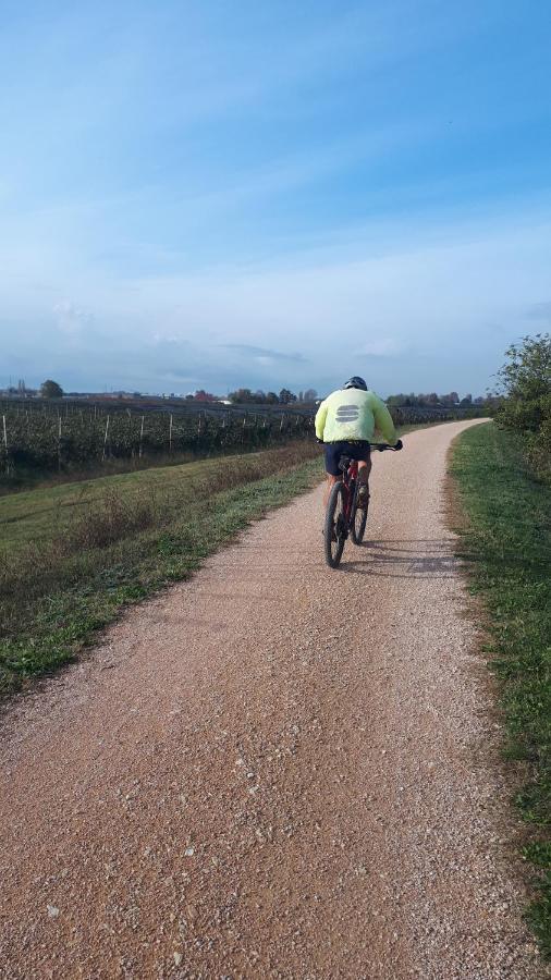 Sulla Ciclabile Apartment Lungo Il Fiume Adige Zevio Exterior foto